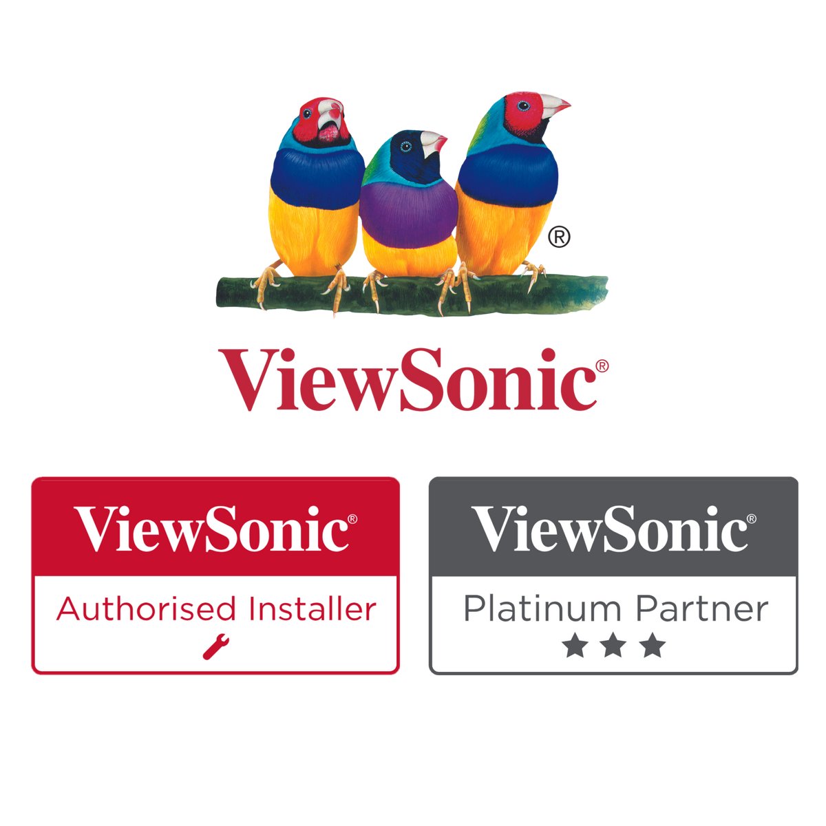 ViewSonic – Crusader AV