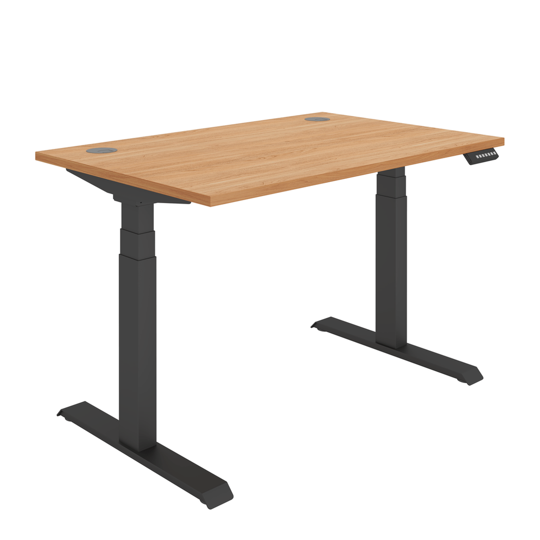 Office Rectangular Dual Motor Sit Stand Desk