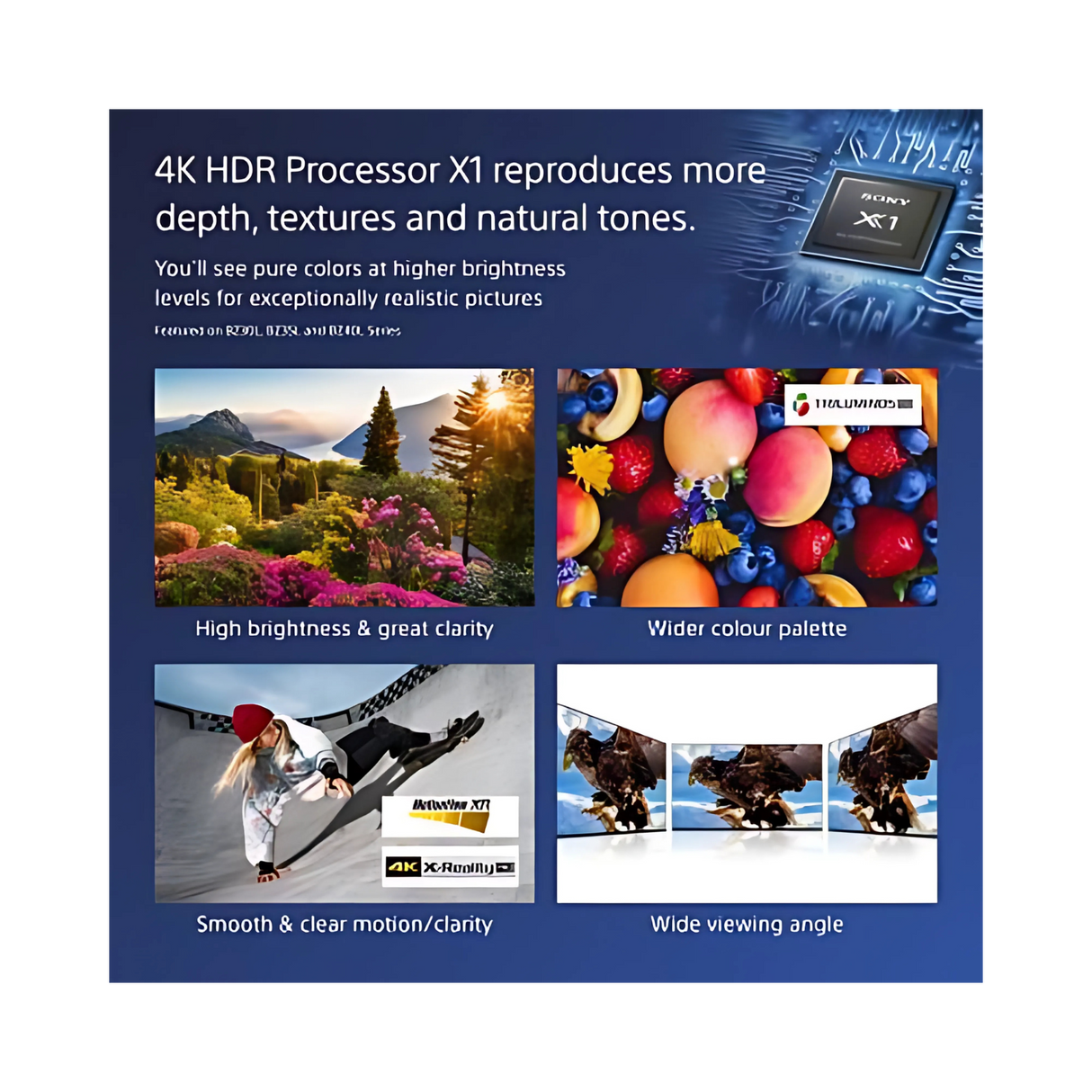 Sony BZ30L Commercial Display - 65"