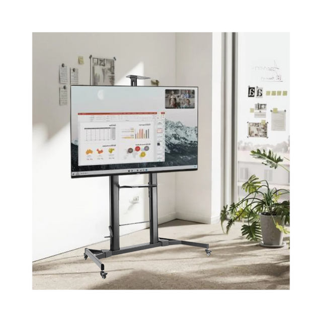 Heavy Duty Height Adjustable Mobile Screen Stand - 100Kgs