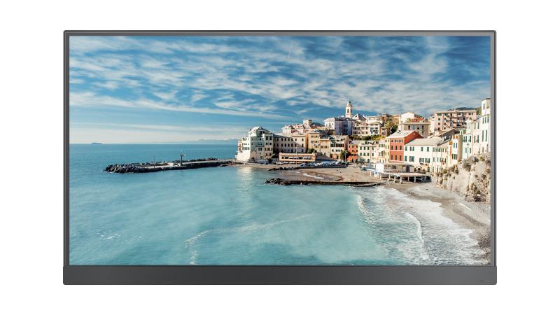 Hikvision 22" DP Series 2K 250nit Commercial Display
