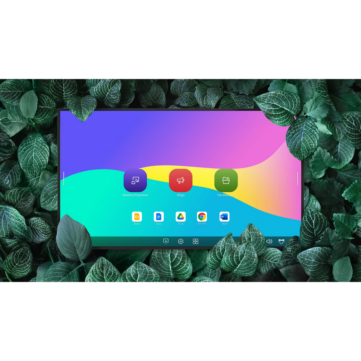 BenQ SL6504 65" Pantone‑Validated Digital Signage Display