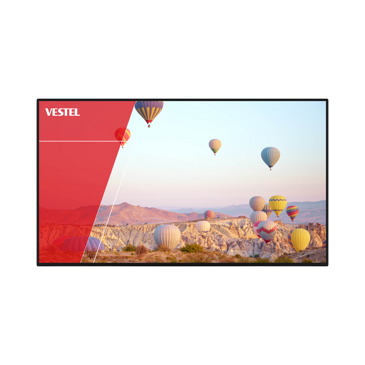 Vestel PFD-2H Digital Signage Display