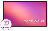 Promethean 75" ActivPanel LE Interactive Display