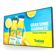 Allsee 65" Ultra High Brightness Window Displays