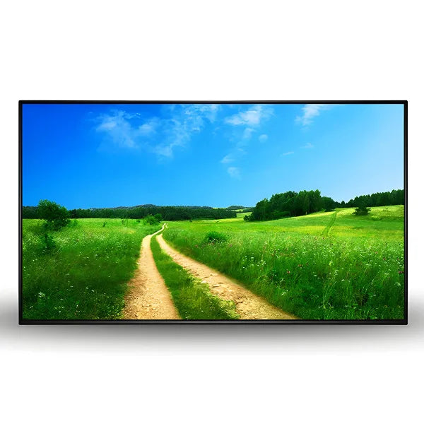 Allsee 55" Professional Monitors