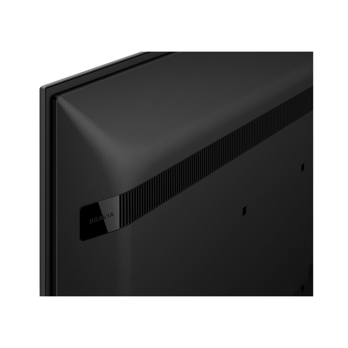 Sony EZ20L Commercial Display - 55"