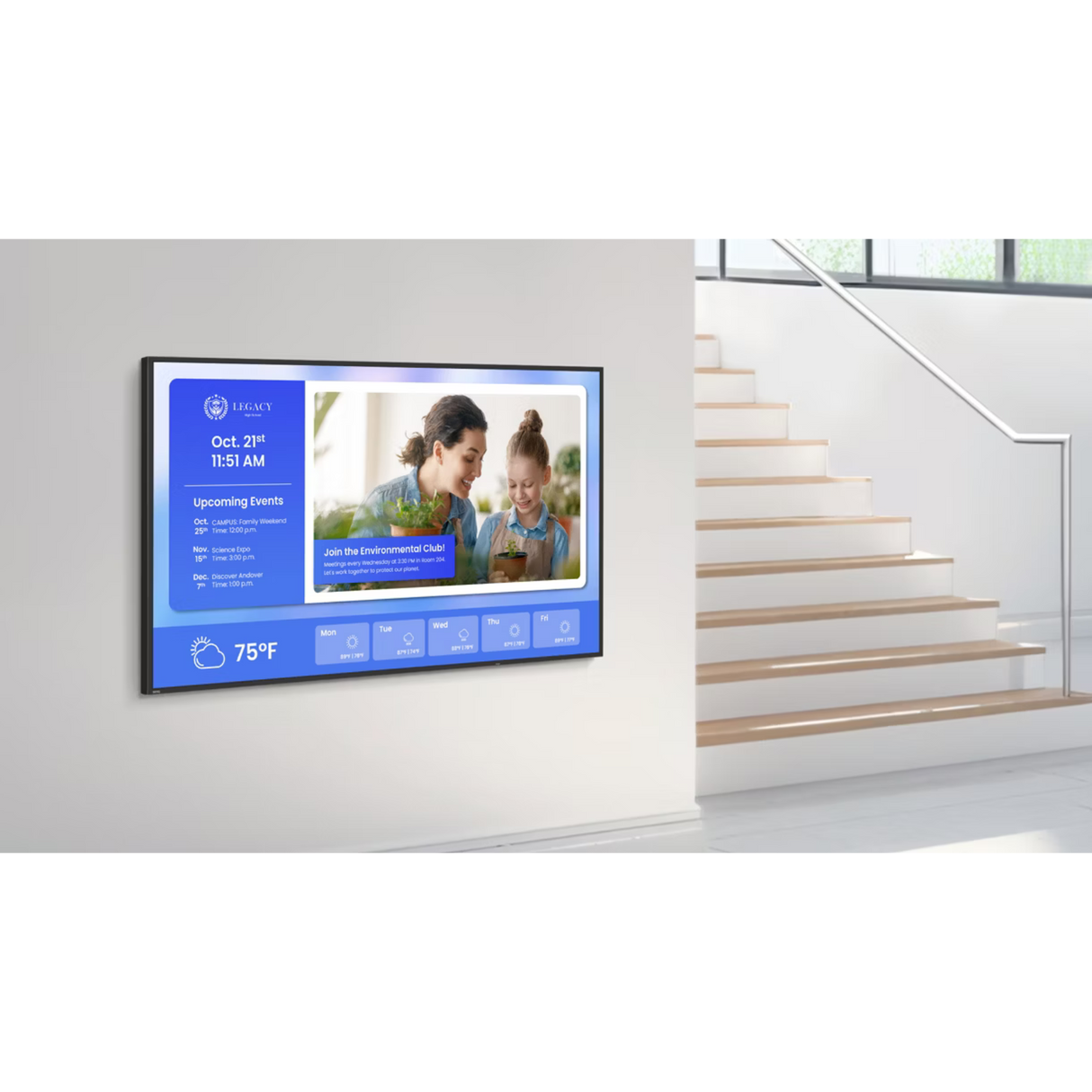 BenQ SL6504 65" Pantone‑Validated Digital Signage Display
