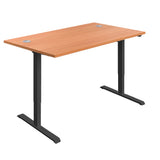 Economy Single Motor Sit Stand Desk
