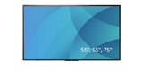 Promethean 75" ActivPanel-D Non-Interactive Display