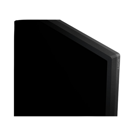 Sony BZ40L Commercial Display