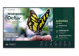 BenQ ST4304 43" Commercial Display