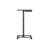 Mobile Sit Stand Desk - Black/White