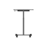 Mobile Sit Stand Desk - Black/White