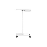 Mobile Sit Stand Desk - Black/White