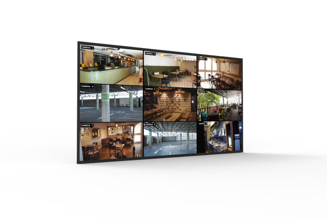 Allsee Economy Professional Monitors