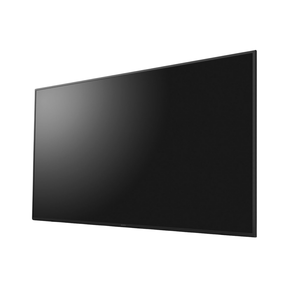 Sony EZ20L Commercial Display - 55"