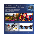 Sony BZ30L Commercial Display - 65"