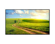 Allsee Professional Monitor