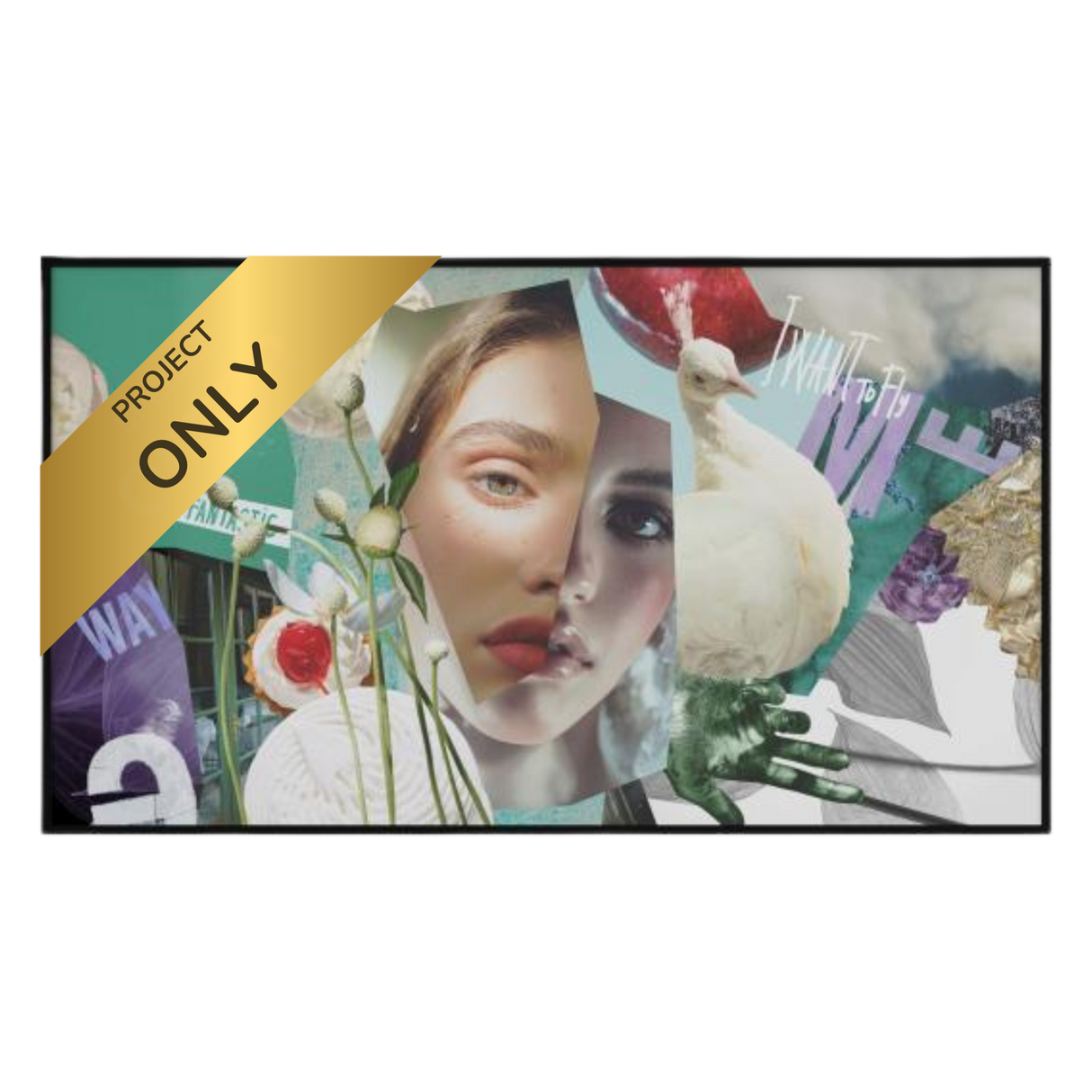 Hikvision DL Series Digital Signage Display