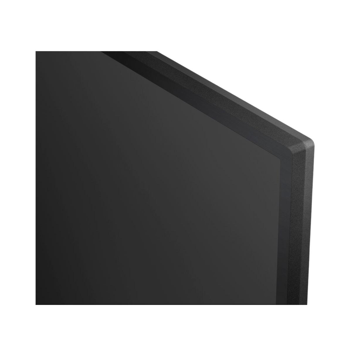 Sony EZ20L Commercial Display - 55"