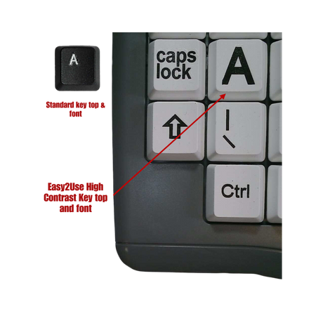 Easy2Use Large Key Large Black Print White Keys Keyboard