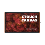 CTouch Canvas Interactive Touchscreen - 55"