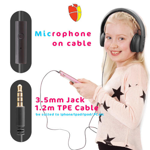 built in microphone 